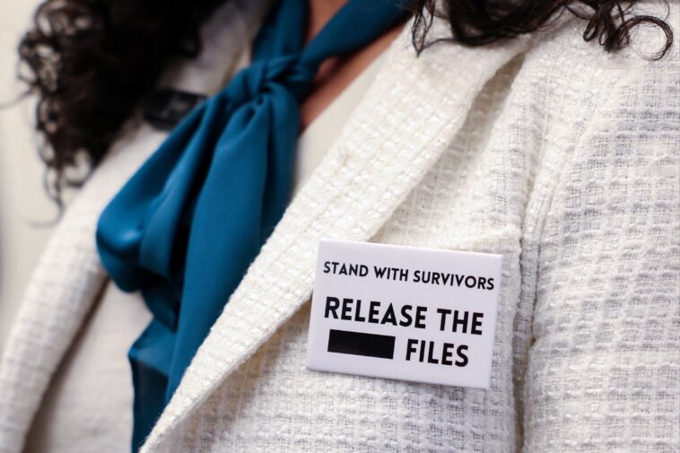 democratic-women’s-caucus-reps-wear-all-white-attire,-epstein-related-pins-to-state-of-the-union-2026-address