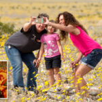 where-to-see-socal’s-super-bloom-this-spring