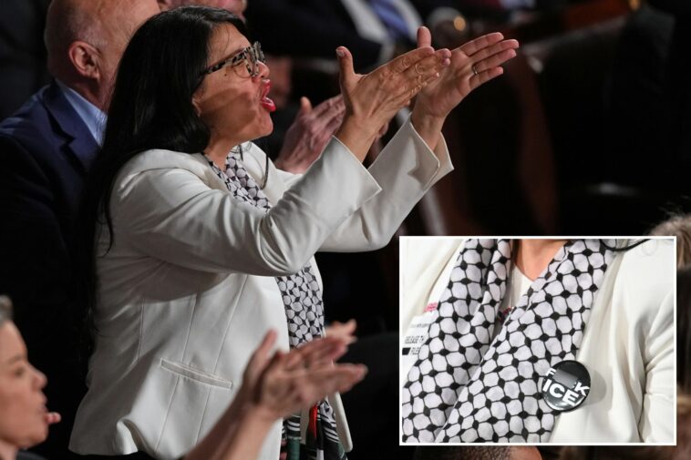 rep.-rashida-tlaib-sparks-outrage-with-‘f–k-ice’-pin-at-trump’s-state-of-the-union-2026-address