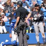 yankees’-aggressive-abs-approach-comes-up-big-against-blue-jays