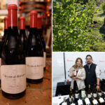 another-california-wine-giant-shuts-site-and-axes-staff-as-chaos-rips-across-napa-valley