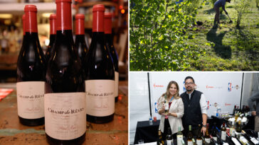 another-california-wine-giant-shuts-site-and-axes-staff-as-chaos-rips-across-napa-valley