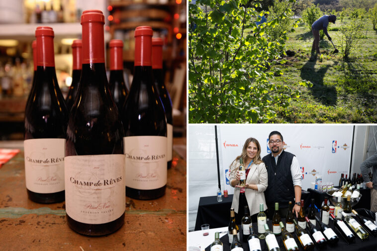 another-california-wine-giant-shuts-site-and-axes-staff-as-chaos-rips-across-napa-valley