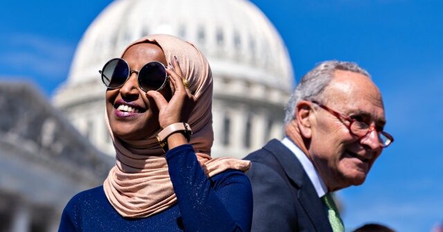 democrats-bring-anti-ice-activists,-illegal-aliens-as-guests-of-honor-to-state-of-the-union