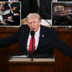 trump-blasts-democrats-who-refused-to-stand-for-protecting-americans-over-‘illegal-aliens’-at-state-of-the-union:-‘you-should-be-ashamed’