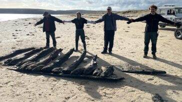 winter-storms-reveal-possible-17th-century-shipwreck-tied-to-armed-caribbean-voyages