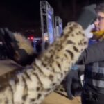 watch:-conservative-journalist-sara-gonzales-booted-from-democrat-sotu-event-for-calling-joy-reid-a-loser-as-she-brought-out-ms-13-thug-kilmar-abrego-garcia