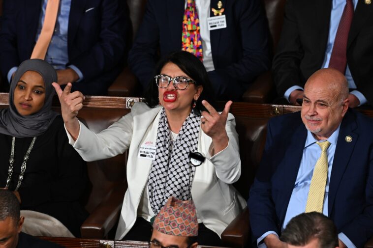 ‘squad’-member-wears-‘f—-ice’-pin-on-house-floor-during-trump-address