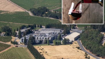 even-more-california-wineries-shut-down-or-will-soon-as-industry-crushed-by-major-drinking-habit-changes