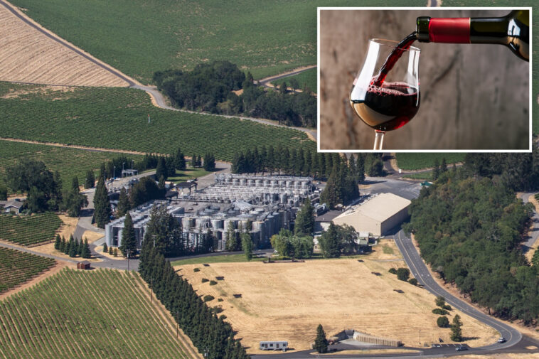 even-more-california-wineries-shut-down-or-will-soon-as-industry-crushed-by-major-drinking-habit-changes
