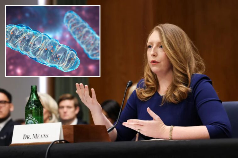 what-is-mitochondrial-dysfunction?-health-issue-surgeon-general-nom-dr.-casey-means-says-is-at-the-root-of-chronic-illness
