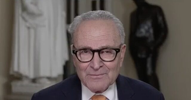 schumer:-‘legitimate-and-right’-dems-didn’t-stand-at-sotu-for-protecting-americans