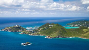 vacation-destination-scammers-rake-in-big-bucks-charging-tourists-for-free-travel-forms