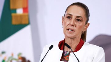 mexican-president-considers-legal-action-against-elon-musk-over-drug-cartel-accusation