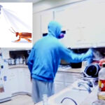 horrifying-video-shows-mask-clad-tenant-secretly-poisoning-couple’s-food