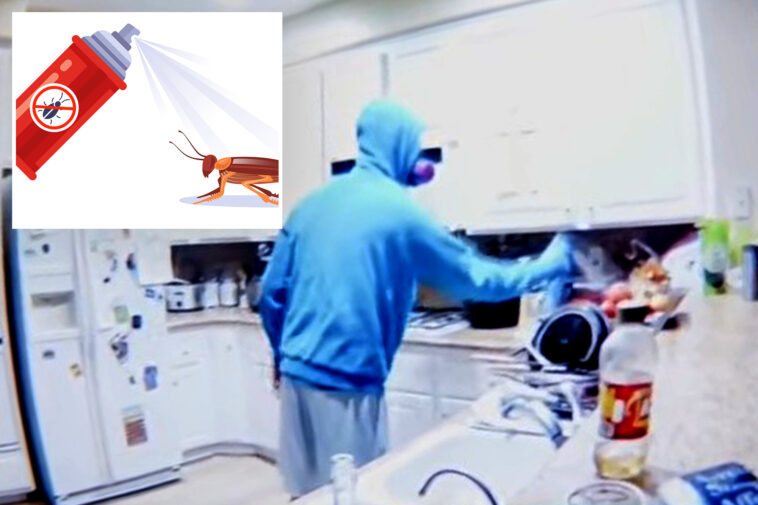 horrifying-video-shows-mask-clad-tenant-secretly-poisoning-couple’s-food