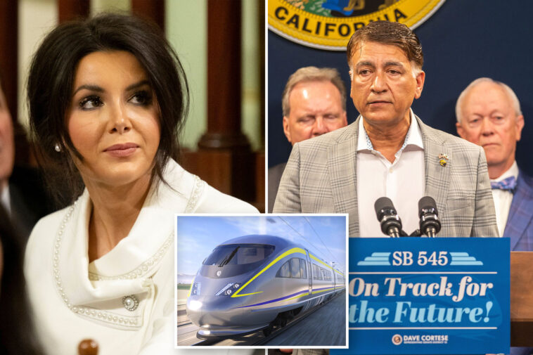 newsom’s-high-speed-rail-ceo-must-go-after-domestic-violence-arrest,-demands-republican-lawmaker