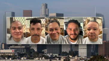 california-sanctuary-policies-blamed-after-ice-arrests-9-sex-offenders-in-los-angeles