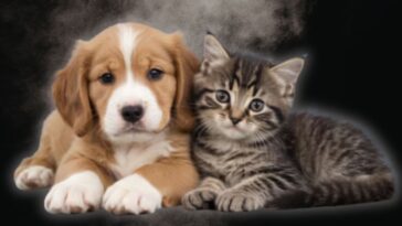 nih’s-fauci-holdover-animal-testing-czar-caught-lying-about-funding-dog-and-cat-experiments-–-approved-millions-while-peta-applauded