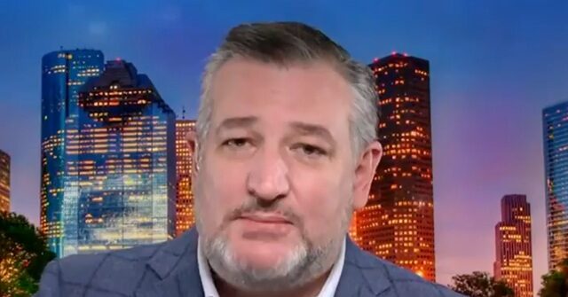 ted-cruz:-democrats-are-‘rooting-against-america’