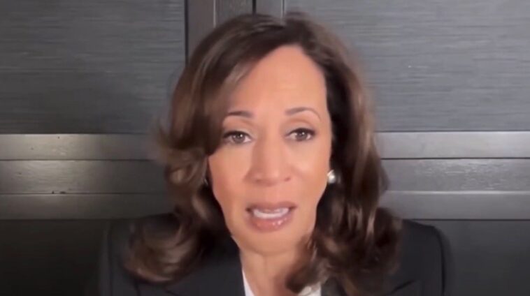 huh?-kamala-harris-responds-to-trump’s-state-of-the-union:-“full-of-lies…-reminds-me-of-our-kids-going-to-show-and-tell-at-school”-(video)