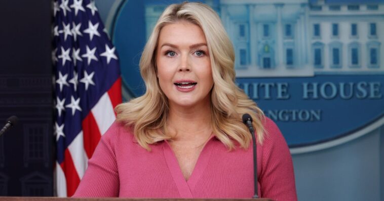 karoline-leavitt-drops-list-of-policies-dems-wouldn’t-stand-for,-including-voter-id-and-fewer-murders