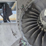 alaska-airlines-flight-makes-emergency-landing-in-cincinnati-after-bloody,-devastating-bird-strike:-report