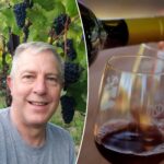 california-winery-owner-gives-hottest-take-yet-on-why-industry-is-dying