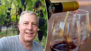 california-winery-owner-gives-hottest-take-yet-on-why-industry-is-dying