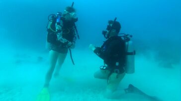 diver-drops-to-one-knee-100-feet-underwater-in-breathtaking-fiji-shipwreck-proposal