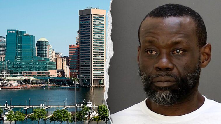 murder-suspect-in-baltimore-robbery-spree-was-on-probation,-records-show