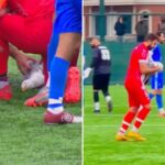 soccer-player-uses-cpr-to-revive-seagull-struck-by-ball-during-playoff-match-in-turkey
