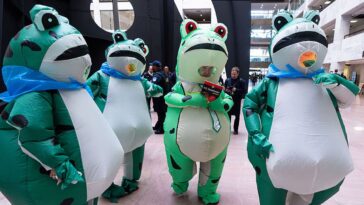 david-marcus:-delusional-dems-‘-dancing-pet-frogs-are-antifa-thugs