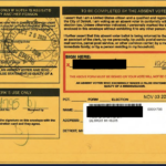 update:-we’ve-completed-40-percent-of-our-investigation-into-detroit’s-2020-absentee-ballot-envelopes-and-we’re-now-beginning-to-understand-why-they-covered-the-windows