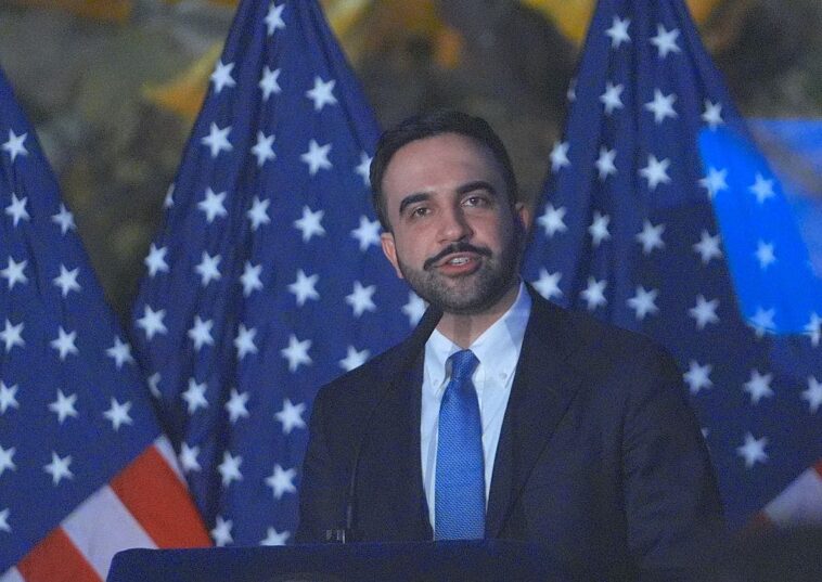 nypd-nabs-27-year-old-after-mamdani-dismissed-mob-targeting-police-as-‘kids-at-a-snowball-fight’