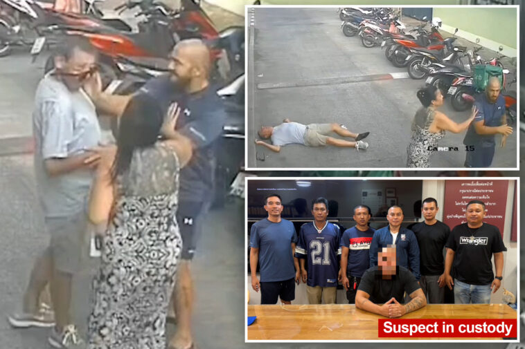 horrific-video-shows-the-moment-suspected-gangster-kills-tourist-with-single-karate-chop