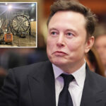elon-musk-takes-aim-at-insane-la-subway-costs,-says-he-can-dig-tunnels-for-a-bargain