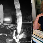 nancy-guthrie-neighbors’-ring-camera-captures-vehicles-on-possible-route-from-crime-scene