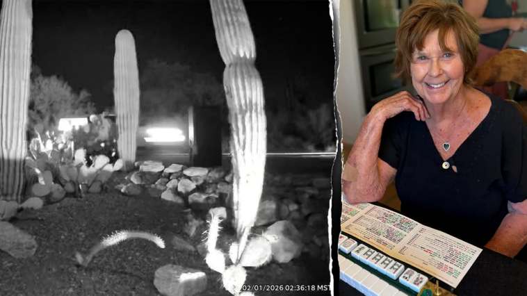 nancy-guthrie-neighbors’-ring-camera-captures-vehicles-on-possible-route-from-crime-scene