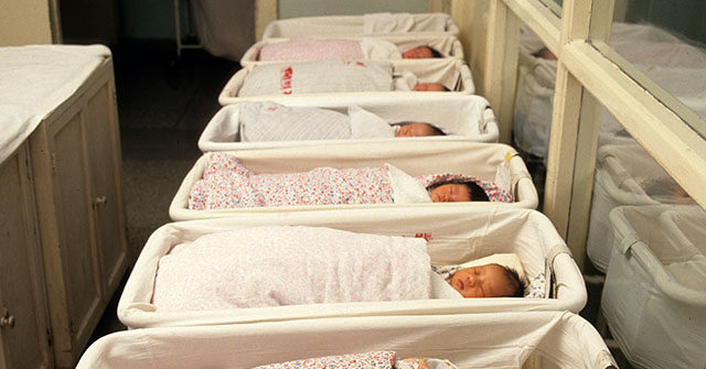 ‘national-security-risk’:-sens.-cotton,-scott-demand-investigation-into-chinese-surrogacy-schemes