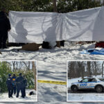 homeless-man,-58,-found-dead-in-snow-pile-near-central-park-carousel