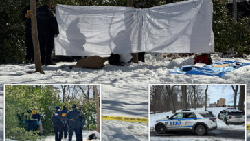 homeless-man,-58,-found-dead-in-snow-pile-near-central-park-carousel