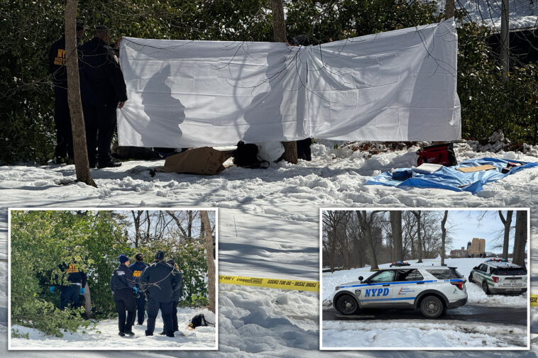 homeless-man,-58,-found-dead-in-snow-pile-near-central-park-carousel