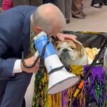 “doggi-gras-pawrade”-–-senators-under-fire-for-holding-‘dog-parade’-as-save-act-stalls-(video)