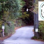 bohemian-grove-insider-speaks-out-after-bombshell-celeb-list-leak-—-here’s-what-it’s-really-like-at-ultra-secret-men’s-club