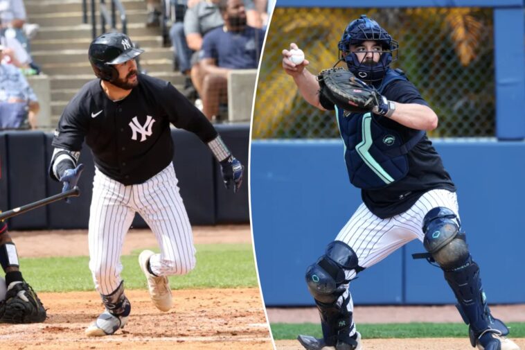 austin-wells-ready-to-‘find-different-switches’-on-both-sides-of-ball-to-take-yankees-leap