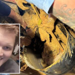 florida-man,-reeling-from-bad-breakup,-found-trapped-in-the-mud-—-days-after-vanishing-on-valentine’s-day