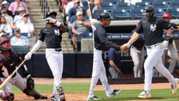 yankees-go-on-home-run-parade-in-big-spring-day-at-plate