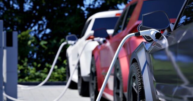 stellantis-reports-historic-annual-loss-due-to-electric-car-write-downs