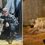 wyoming-hunter-who-tortured-wolf,-paraded-injured-animal-in-bar-before-killing-it-strikes-sweetheart-plea-deal